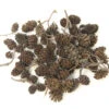 Alder Cones (1/2 - 1 Inch)