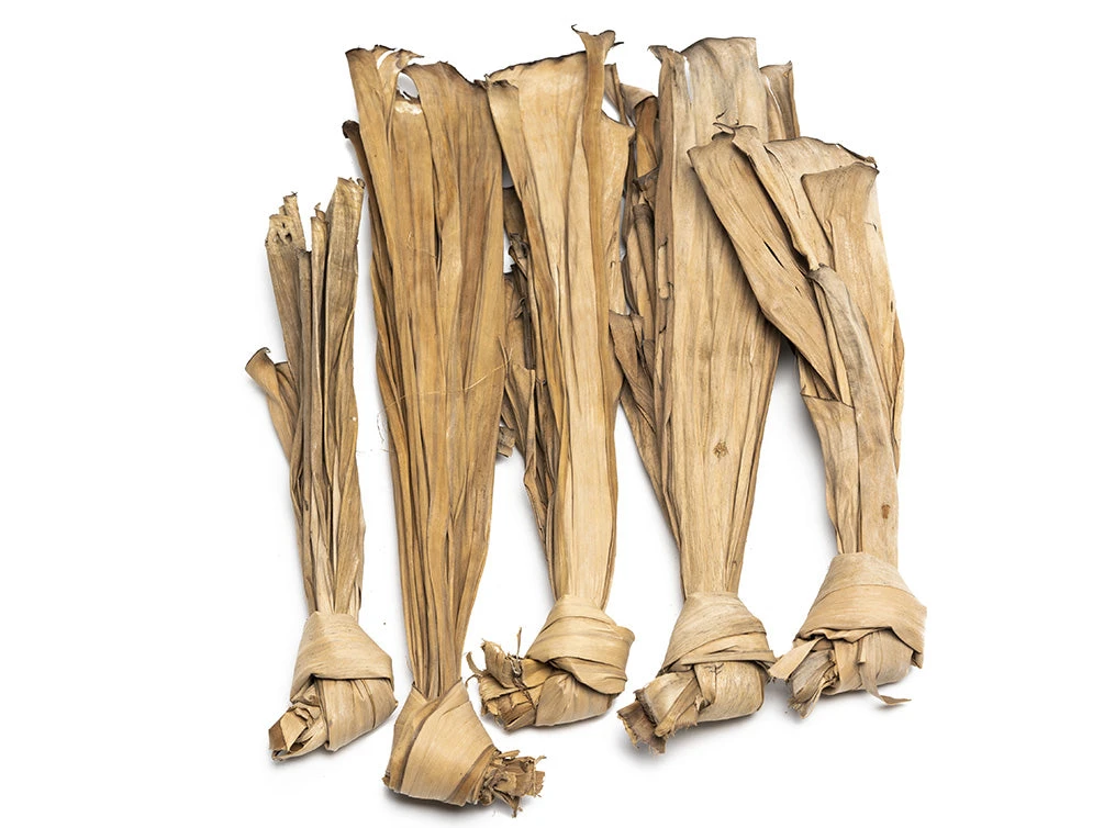 Vampire Crab Botanical Combo Pack - Image 3