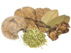 Botanical Breeder Combo Pack (Vampire Crabs)