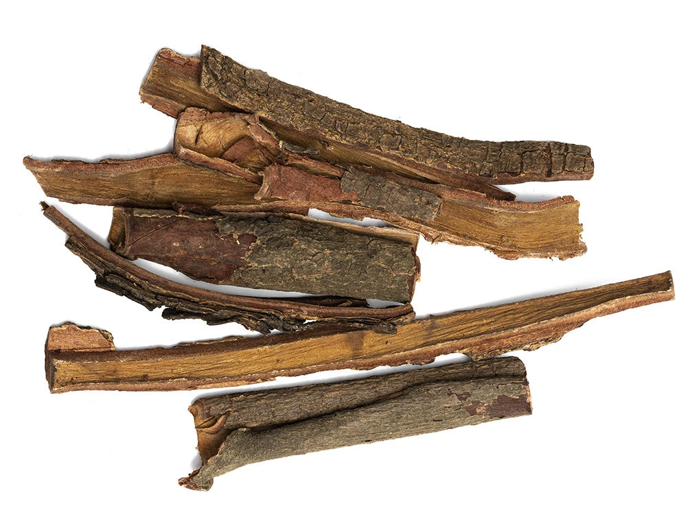 Catappa Tree Botanical Combo Pack - Image 3