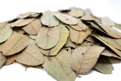 Guava Leaves