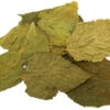Mulberry Leaves